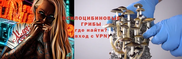 соль ск Алексеевка